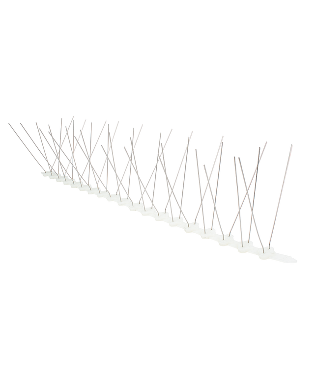 SAMAC Bird Spikes Stainless Steel Pigeon Deterrent